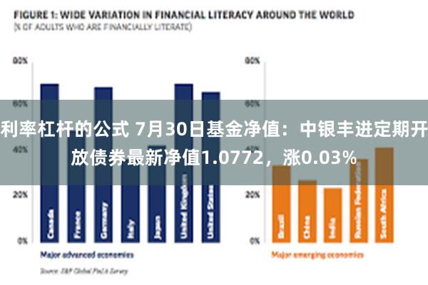 利率杠杆的公式 7月30日基金净值：中银丰进定期开放债券最新净值1.0772，涨0.03%