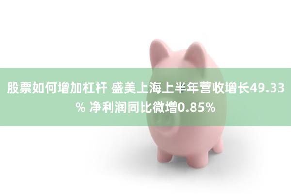 股票如何增加杠杆 盛美上海上半年营收增长49.33% 净利润同比微增0.85%