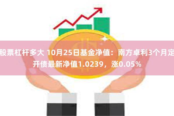 股票杠杆多大 10月25日基金净值：南方卓利3个月定开债最新净值1.0239，涨0.05%