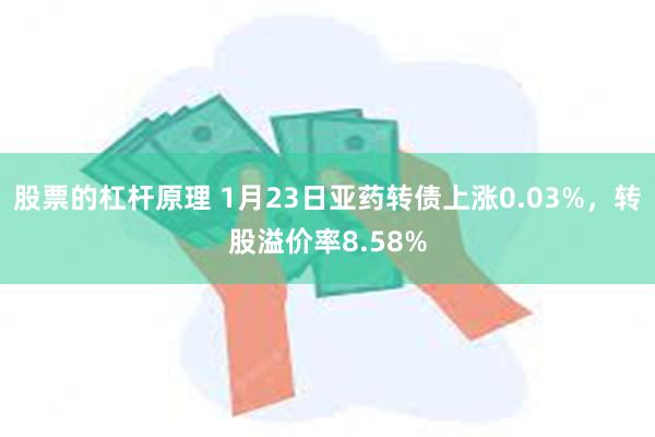 股票的杠杆原理 1月23日亚药转债上涨0.03%，转股溢价率8.58%